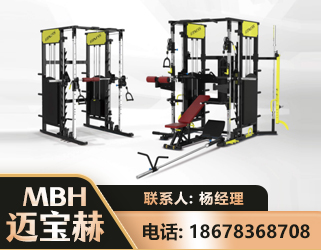 湘潭多功能综合训练器