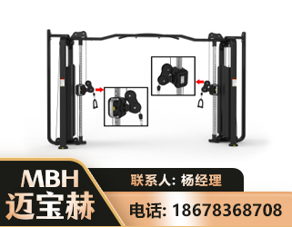 湘潭大飞鸟训练器